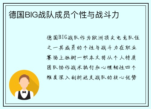 德国BIG战队成员个性与战斗力